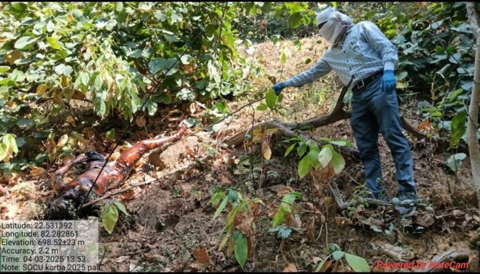 Screenshot_20250304-194124_WhatsApp