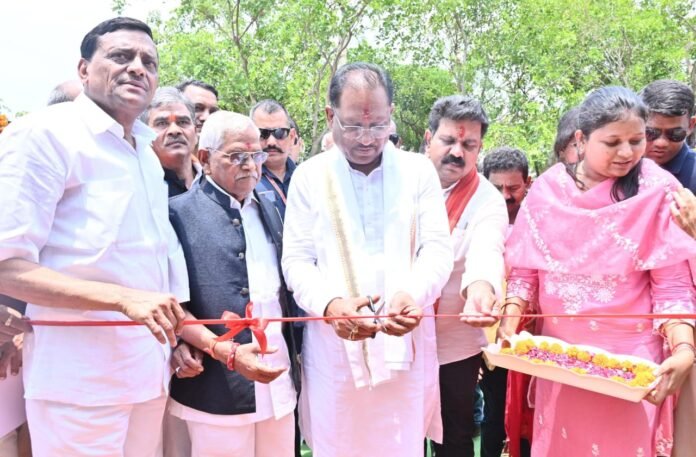 WhatsApp Image 2025-05-20 at 01.20.02_28b2d23c