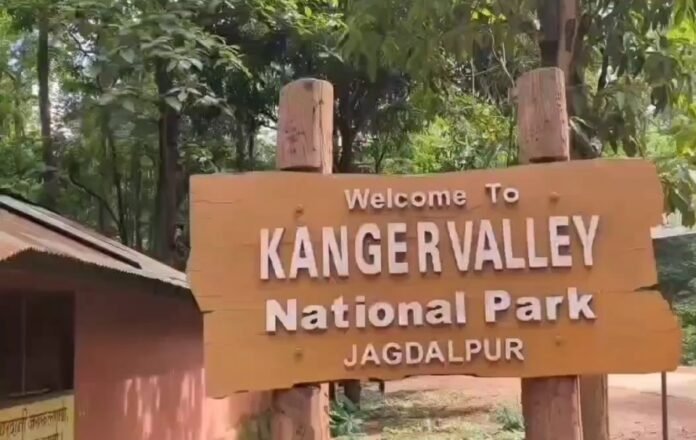 Screenshot_20250620_124549_Gallery