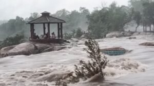 IMG 20250707 WA0110 1