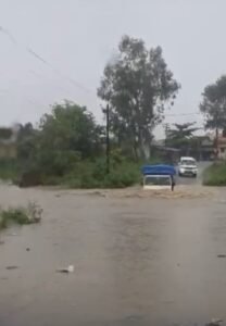 Screenshot 20250703 150102 Gallery