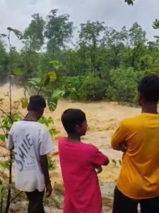 Screenshot 20250705 131635 Gallery