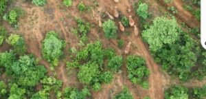 Screenshot 20250705 133035 Gallery