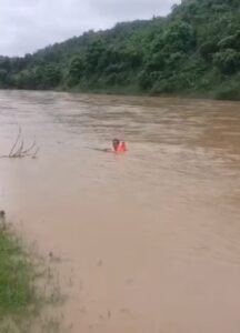 Screenshot 20250706 134233 Gallery