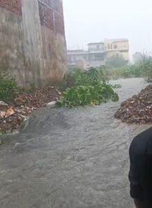 Screenshot 20250706 141549 Gallery