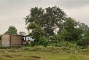 Screenshot 20250708 231055 Gallery