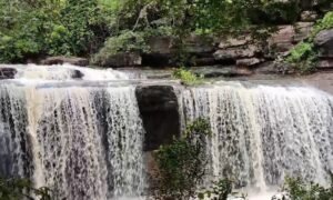 Screenshot 20250709 112542 Gallery