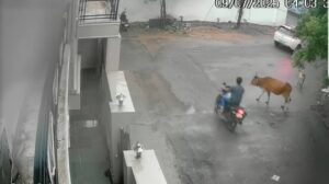 Screenshot 20250711 155656 Gallery