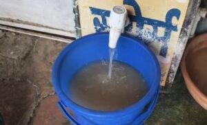 Screenshot 20250713 121439 Gallery