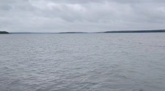 Screenshot_20250726_153526_Gallery