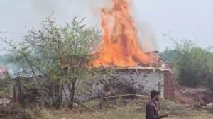 Screenshot 20250727 115031 Gallery 1