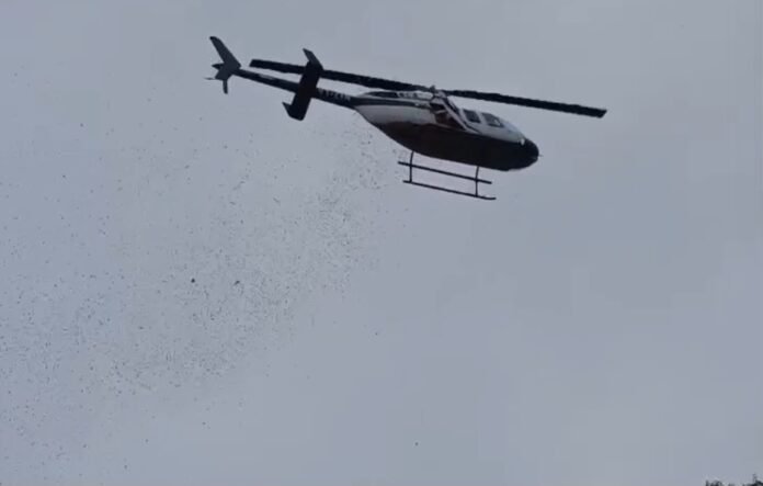 Screenshot_20250728_160209_Gallery