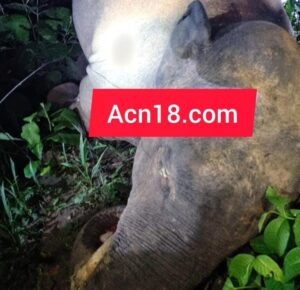 IMG 20250801 WA0051 1