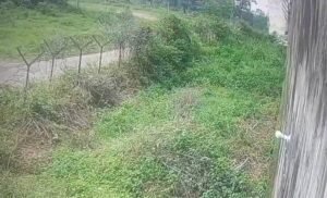 Screenshot 20250802 215458 Gallery 1