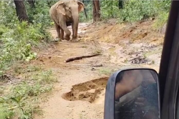 Screenshot_20250804_115401_Gallery