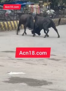 Screenshot 20250806 103030 Gallery