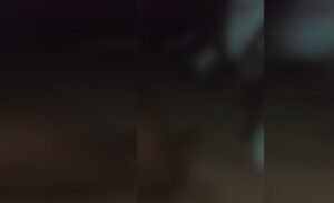 Screenshot 20250811 131854 Gallery