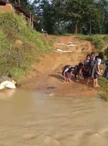 Screenshot 20250816 102346 Gallery