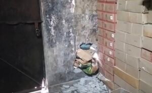 Screenshot 20250816 113149 Gallery