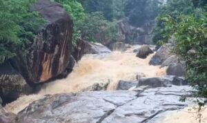 Screenshot 20250817 091633 Gallery