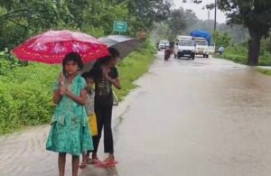 Screenshot 20250826 122901 Gallery