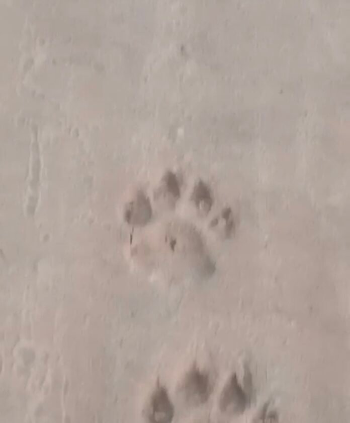 Screenshot_20250829_102446_Gallery