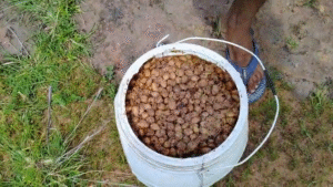 vlcsnap 2025 08 20 16h37m36s932