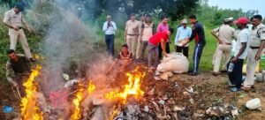 40 लाख रुपए के नशीले पदार्थ पुलिस द्वारा किए गए नष्ट,गांजा, अफीम,डोडा जैसे मादक पदार्थ को किया गया नष्ट, देखिए वीडियो 4 IMG 20250926 WA0058