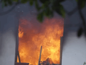 Screenshot 2025 09 09 13 39 16 538 com.ak .ta .dainikbhaskar.activity