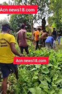 Screenshot 20250901 143715 Gallery