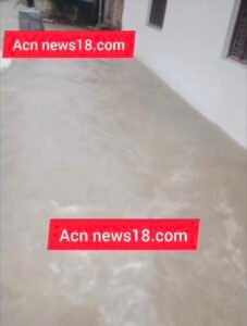 Screenshot 20250904 093209 Gallery