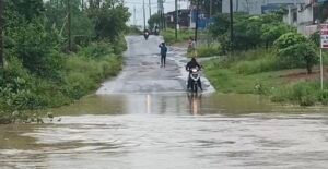 Screenshot 20250904 124136 Gallery