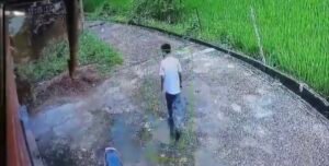 Screenshot 20250908 125449 Gallery