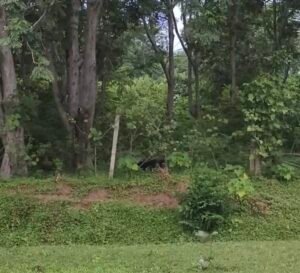 Screenshot 20250912 123620 Gallery