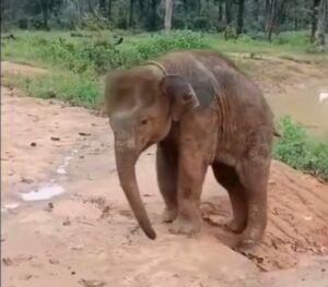 Screenshot 20250913 155225 Gallery