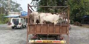 Screenshot 20250917 111700 Gallery