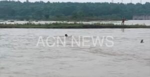 Screenshot 20250918 151734 Gallery