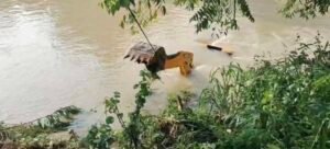 Screenshot 20250919 095909 Gallery