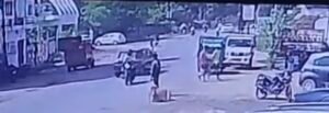 कटघोरा में देखने को मिला तेज रफ्तार का कहर , सीसीटीवी कैमरे में कैद हुआ भीषण सड़क हादसा ,कटघोरा थाना क्षेत्र के कारखाना की घटना,देखिए वीडियो 1 Screenshot 20250926 095719 Gallery