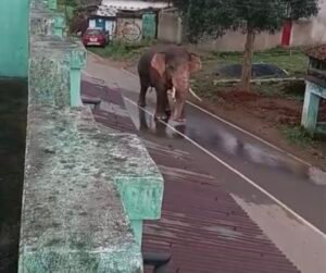 Screenshot 20250929 131300 Gallery