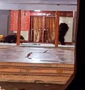 Screenshot 20251005 221200 Gallery