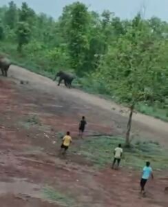 Screenshot 20251009 145153 Gallery