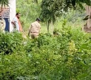 Screenshot 20251015 121335 Gallery