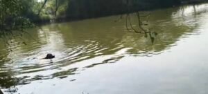 Screenshot 20251020 100146 Gallery