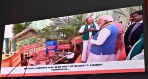 1764501453 036ca0a3b771d80f8e08