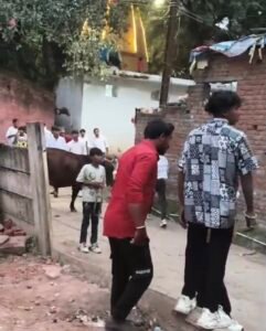 Screenshot 20251102 140701 Gallery