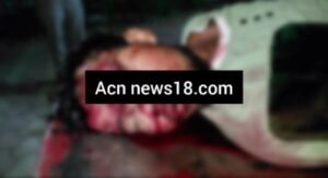 WhatsApp Image 2025 11 14 at 17.07.52