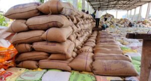 WhatsApp Image 2025 11 19 at 16.35.26 1