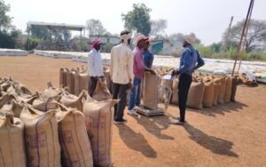 WhatsApp Image 2025 11 19 at 16.35.26