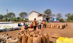 WhatsApp Image 2025 11 19 at 16.35.27